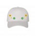 DAISIES Dad Hat Embroidered Low Profile Plant Flower Baseball Caps  Many Colors  eb-87201704