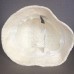 AUGUST HATS CHENILLE CLOCHE HAT IVORY NWT  eb-73353803