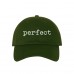 PERFECT Dad Hat Embroidered Completeness Flawless Baseball Caps  Many Available  eb-59634685
