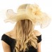 Flirty Netted Overlay Simamay Feathers Derby Floppy 6" Wide Brim Dress Hat  eb-92173510