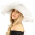 Flirty Netted Overlay Simamay Feathers Derby Floppy 6" Wide Brim Dress Hat  eb-92173510