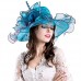 's Foldable Organza Church Derby Hat Formal Wide Brim Summer Race Party Cap 664271030328 eb-79657247