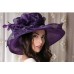 Organza Feather HATS  Kentucky Derby Church Wedding Noble Dress hat yanggen  eb-49141674