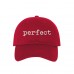 PERFECT Dad Hat Embroidered Completeness Flawless Baseball Caps  Many Available  eb-51441798