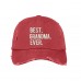 BEST GRANDMA EVER Distressed Dad Hat Best GrandMother Ever Hats  Many Colors  eb-61788181