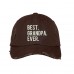 BEST GRANDPA EVER Distressed Dad Hat Best Grandfather Ever Hats  Many Colors  eb-57375562