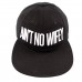 DIMEPIECE Embroidered ''AIN'T NO WIFEY" Baseball Cap One Size 8000002168687 eb-45367872
